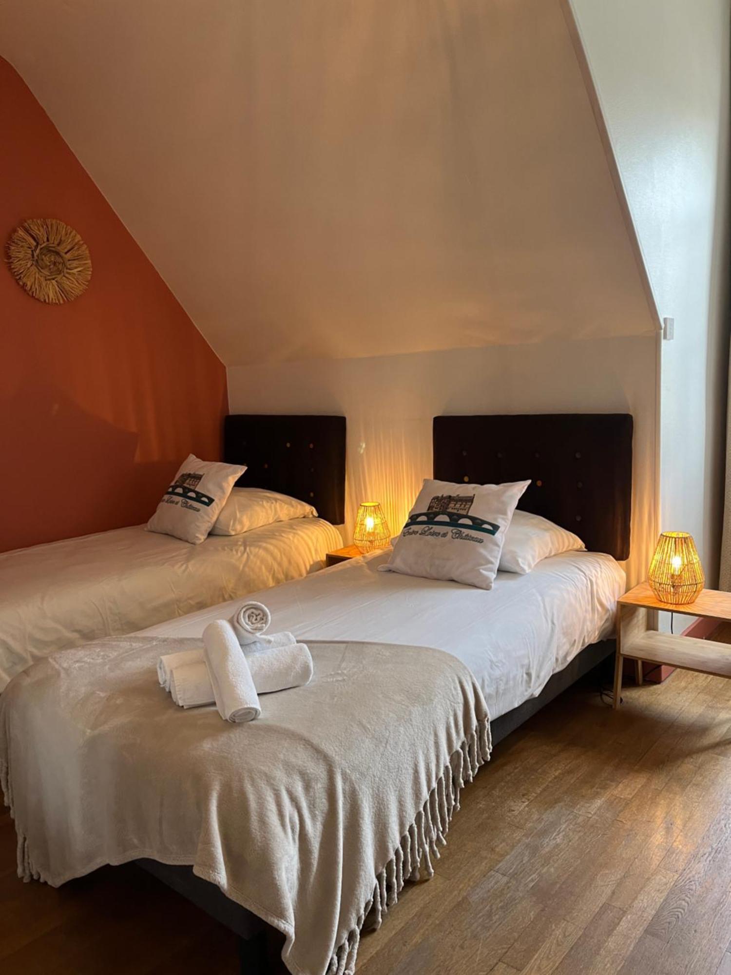 Entre Loire & Chateau - Vue Exceptionnelle A Blois Eksteriør billede